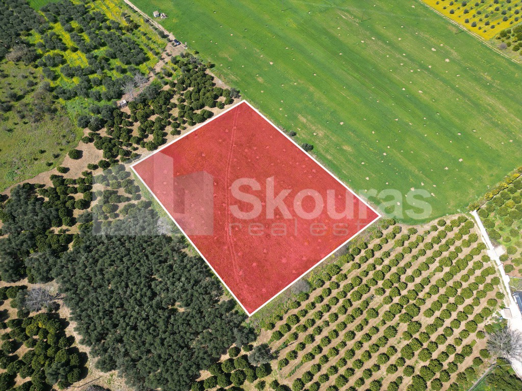Αγροτεμάχια 6.000 τ.μ. προς πώληση, Παληοχώρα Ναυπλίου