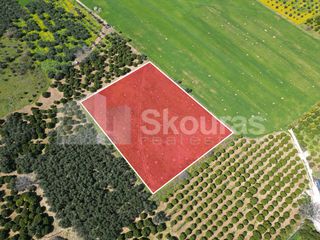 Αγροτεμάχια 6.000 τ.μ. για πώληση, Αργολίδα, Ναύπλιο-thumb-1