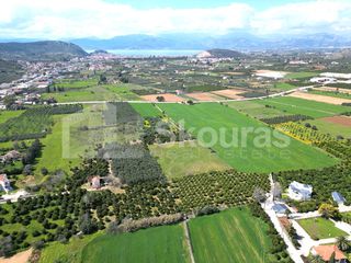 Αγροτεμάχια 6.000 τ.μ. για πώληση, Αργολίδα, Ναύπλιο-thumb-5