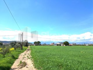 Αγροτεμάχια 6.000 τ.μ. για πώληση, Αργολίδα, Ναύπλιο-thumb-22