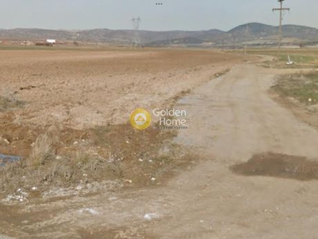 Αγροτεμάχια 9.967 τ.μ. για πώληση