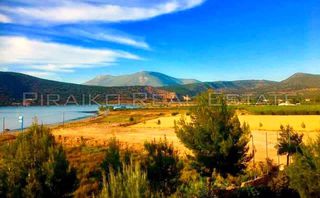 Οικόπεδο 5.554 τ.μ. για πώληση, Αργολίδα, Κρανίδι-thumb-4