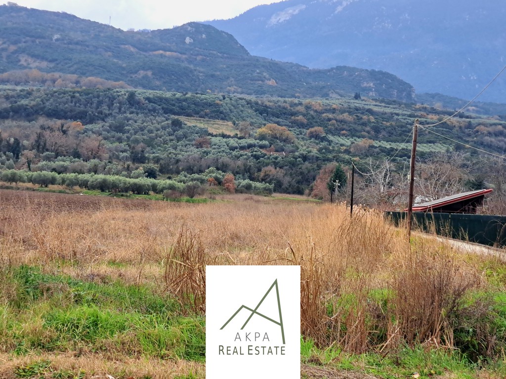 Αγροτεμάχια 5.000 τ.μ. προς πώληση, Μοσχοχώρι Γοργοποτάμου