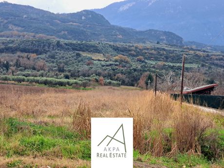 Αγροτεμάχια 5.000 τ.μ. για πώληση