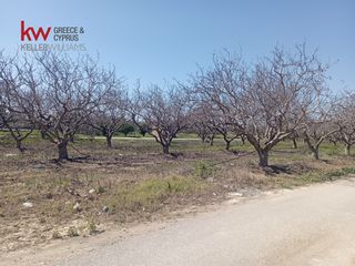 Οικόπεδο 1.126 τ.μ. για πώληση, Αττική - Υπόλοιπο, Ανάβυσσος-thumb-7