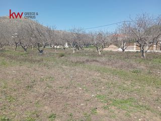 Οικόπεδο 1.126 τ.μ. για πώληση, Αττική - Υπόλοιπο, Ανάβυσσος-thumb-3