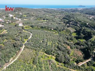 Οικόπεδο 5.236,02 τ.μ. για πώληση