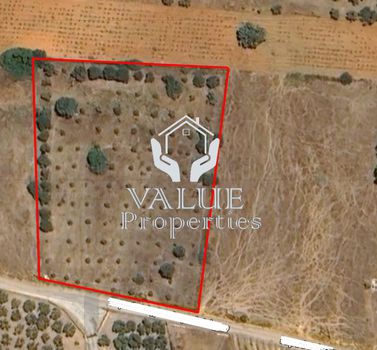 Parcel 6.000sqm for sale-Marathonas