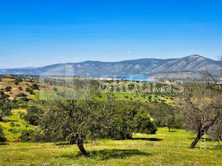 Αγροτεμάχια 11.600 τ.μ. για πώληση, Αργολίδα, Κρανίδι-thumb-8