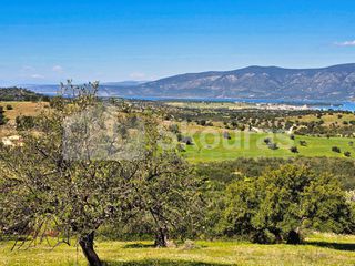 Αγροτεμάχια 11.600 τ.μ. για πώληση, Αργολίδα, Κρανίδι-thumb-1