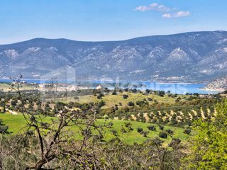 Αγροτεμάχια 11.600 τ.μ. για πώληση, Αργολίδα, Κρανίδι-thumb-20