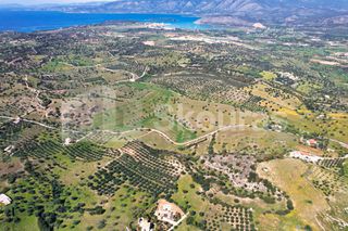 Αγροτεμάχια 11.600 τ.μ. για πώληση, Αργολίδα, Κρανίδι-thumb-6