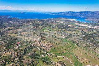 Αγροτεμάχια 11.600 τ.μ. για πώληση, Αργολίδα, Κρανίδι-thumb-21