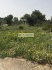 Parcel 1.338sqm for sale-Artemida (Loutsa)