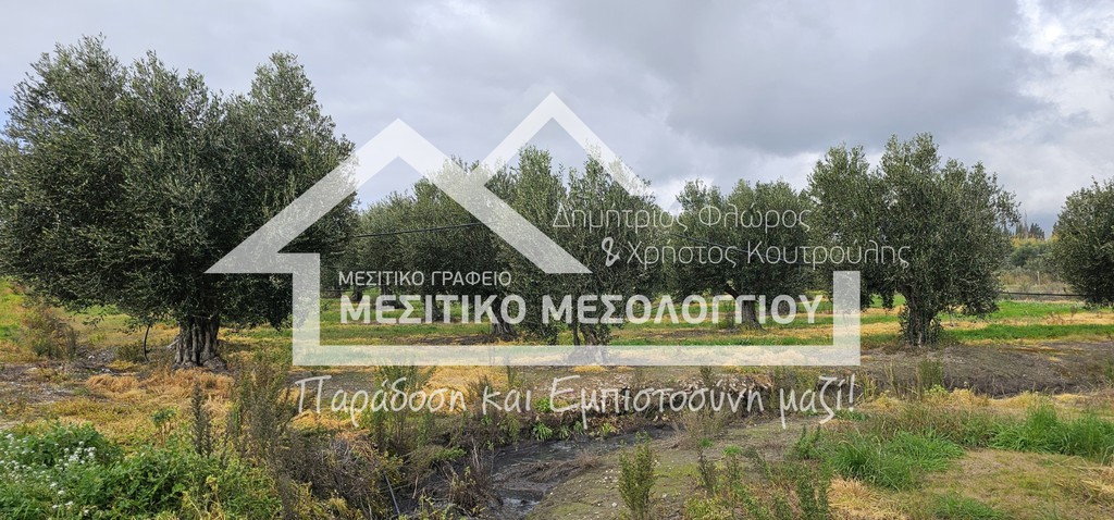 Αγροτεμάχια 62.000 τ.μ. προς πώληση, Αιτωλοακαρνανία, Ιερά Πόλη Μεσολογγίου