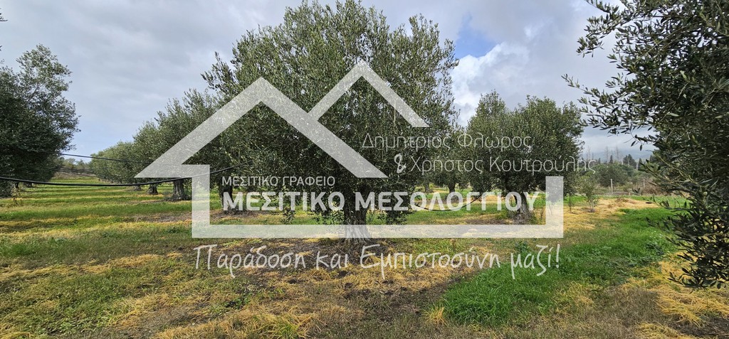 Αγροτεμάχια 62.000 τ.μ. προς πώληση, Αιτωλοακαρνανία, Ιερά Πόλη Μεσολογγίου