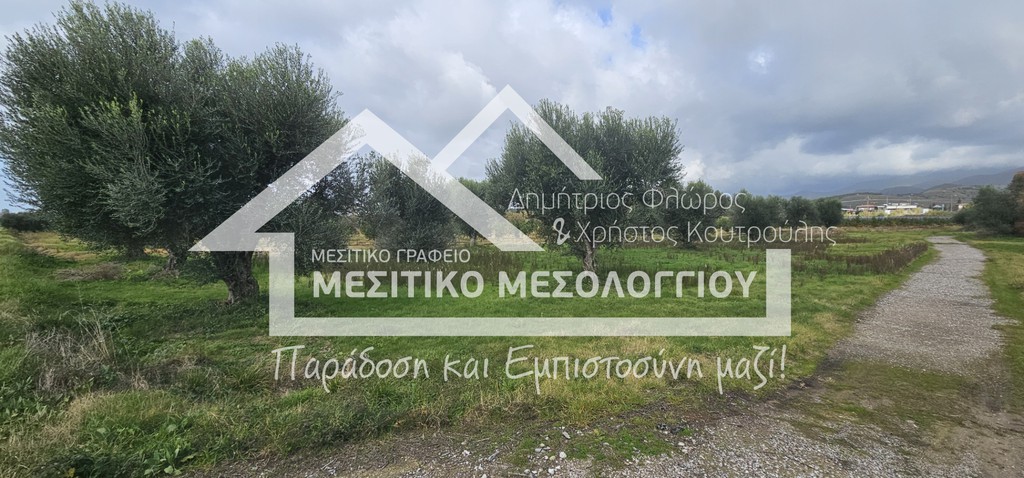 Αγροτεμάχια 62.000 τ.μ. προς πώληση, Αιτωλοακαρνανία, Ιερά Πόλη Μεσολογγίου
