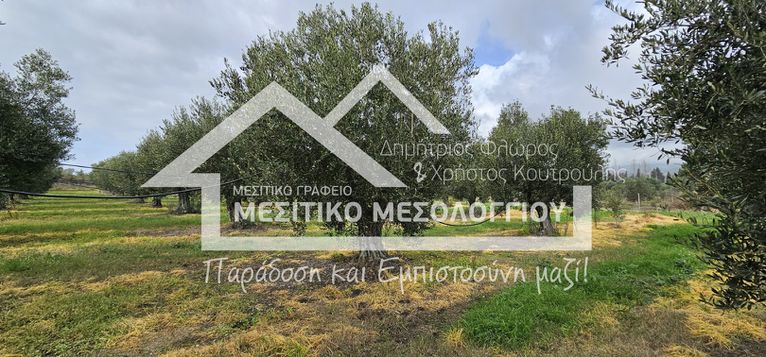 Αγροτεμάχια 62.000 τ.μ. για πώληση, Αιτωλοακαρνανία, Ιερά Πόλη Μεσολογγίου