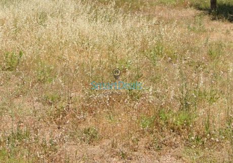 Οικόπεδο 127τ.μ. για πώληση-Πατήσια