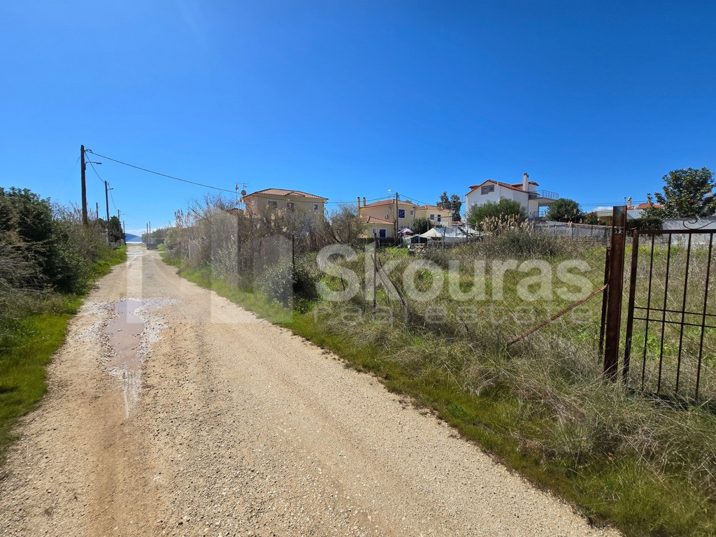 Αγροτεμάχια 902 τ.μ. προς πώληση, Κάντια