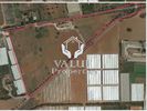Parcel 55.000sqm for sale-Marathonas