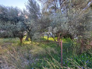 Οικόπεδο 613 τ.μ. προς πώληση, Μπεγουλάκι-thumb-17