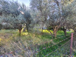 Οικόπεδο 613 τ.μ. προς πώληση, Μπεγουλάκι-thumb-24