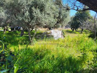 Οικόπεδο 613 τ.μ. προς πώληση, Μπεγουλάκι-thumb-9