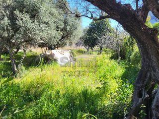 Οικόπεδο 613 τ.μ. προς πώληση, Μπεγουλάκι-thumb-11