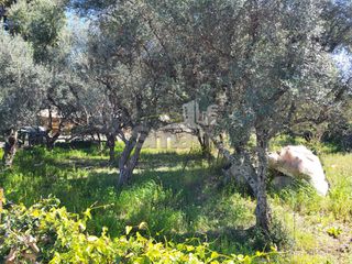 Οικόπεδο 613 τ.μ. προς πώληση, Μπεγουλάκι-thumb-8