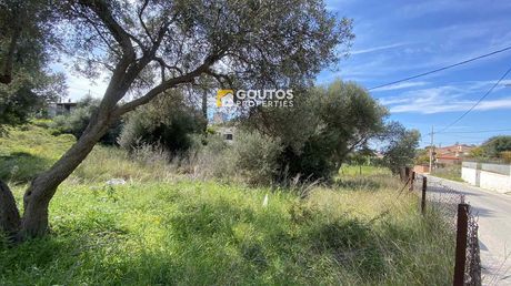 Οικόπεδο 555τ.μ. για πώληση-Ανάβυσσος