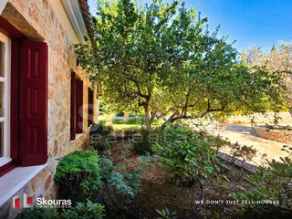 Βίλλα 450 τ.μ. για πώληση, Αργολίδα, Κρανίδι-thumb-18