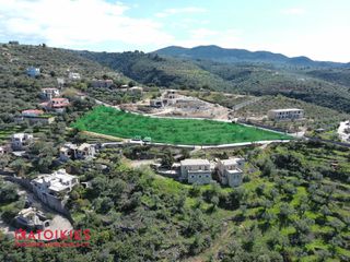 Οικόπεδο 4.967 τ.μ. για πώληση, Μεσσηνία, Αβία-thumb-4