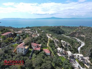 Οικόπεδο 4.967 τ.μ. για πώληση, Μεσσηνία, Αβία-thumb-8