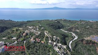 Οικόπεδο 4.967 τ.μ. για πώληση, Μεσσηνία, Αβία-thumb-6
