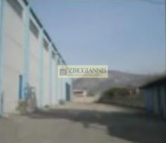 Βιομηχανικός χώρος 5.400 τ.μ. προς ενοικίαση, Πάτημα Ασπροπύργου