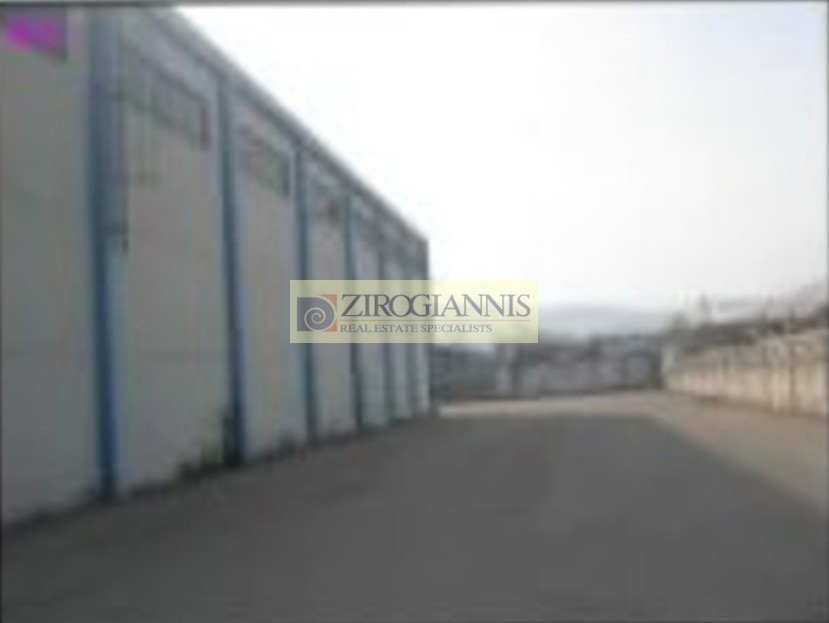 Βιομηχανικός χώρος 5.400 τ.μ. προς ενοικίαση, Πάτημα Ασπροπύργου