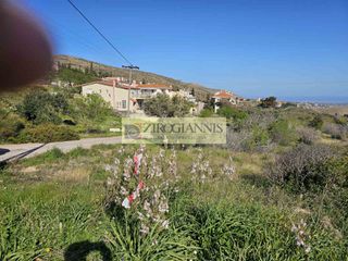 Οικόπεδο 8.000 τ.μ. για πώληση, Αθήνα - Βόρεια Προάστια, Πεντέλη-thumb-2