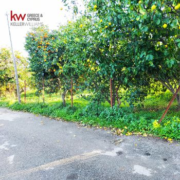 Οικόπεδο 2.000τ.μ. για πώληση-Αίγιο