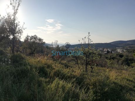 Οικόπεδο 2.950τ.μ. για πώληση-Σύβοτα
