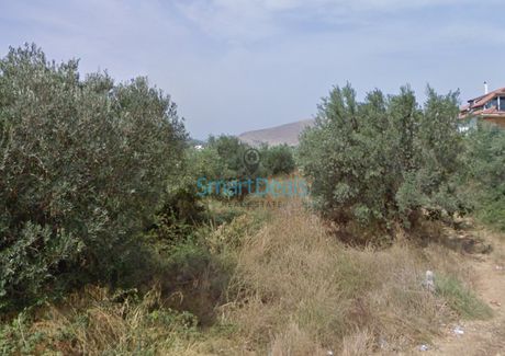 Land plot 260 sqm for sale
