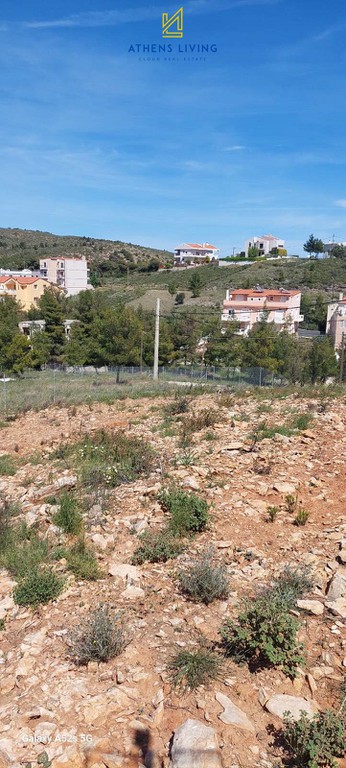 Οικόπεδο 744 τ.μ. προς πώληση, Διώνη Πικερμίου