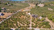 Αγροτεμάχια 9.000τ.μ. για πώληση-Κρανίδι