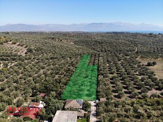 Οικόπεδο 4.600 τ.μ. για πώληση, Μεσσηνία, Μεσσήνη-thumb-4