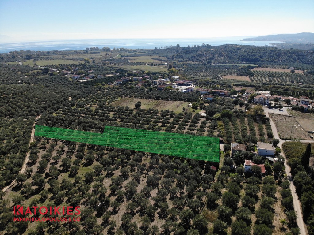 Οικόπεδο 4.600 τ.μ. για πώληση, Μεσσηνία, Μεσσήνη