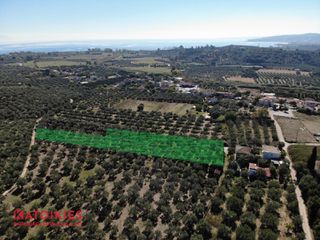 Οικόπεδο 4.600 τ.μ. για πώληση