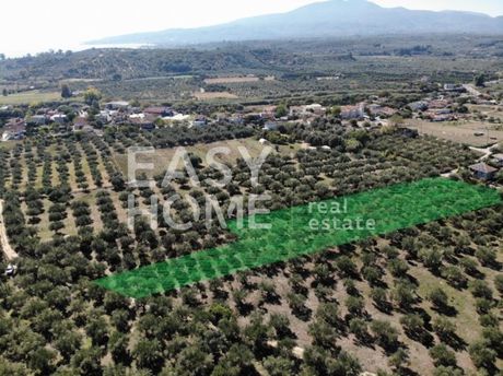 Land plot 4.600sqm for sale-Messini