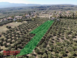 Οικόπεδο 4.600 τ.μ. για πώληση, Μεσσηνία, Μεσσήνη-thumb-3