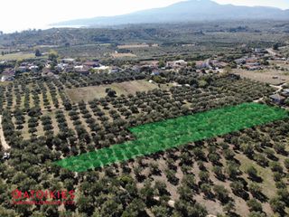 Οικόπεδο 4.600 τ.μ. για πώληση, Μεσσηνία, Μεσσήνη-thumb-1