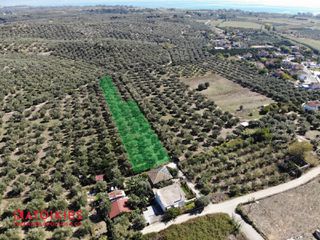 Οικόπεδο 4.600 τ.μ. για πώληση, Μεσσηνία, Μεσσήνη-thumb-2